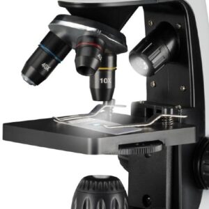FT24_1_Microscopio