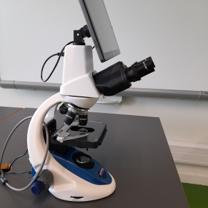 Microscópio